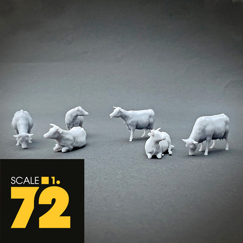 Coaws Model Cows in the meadow – War Models Kit